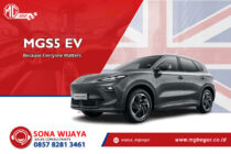 MGS5 EV